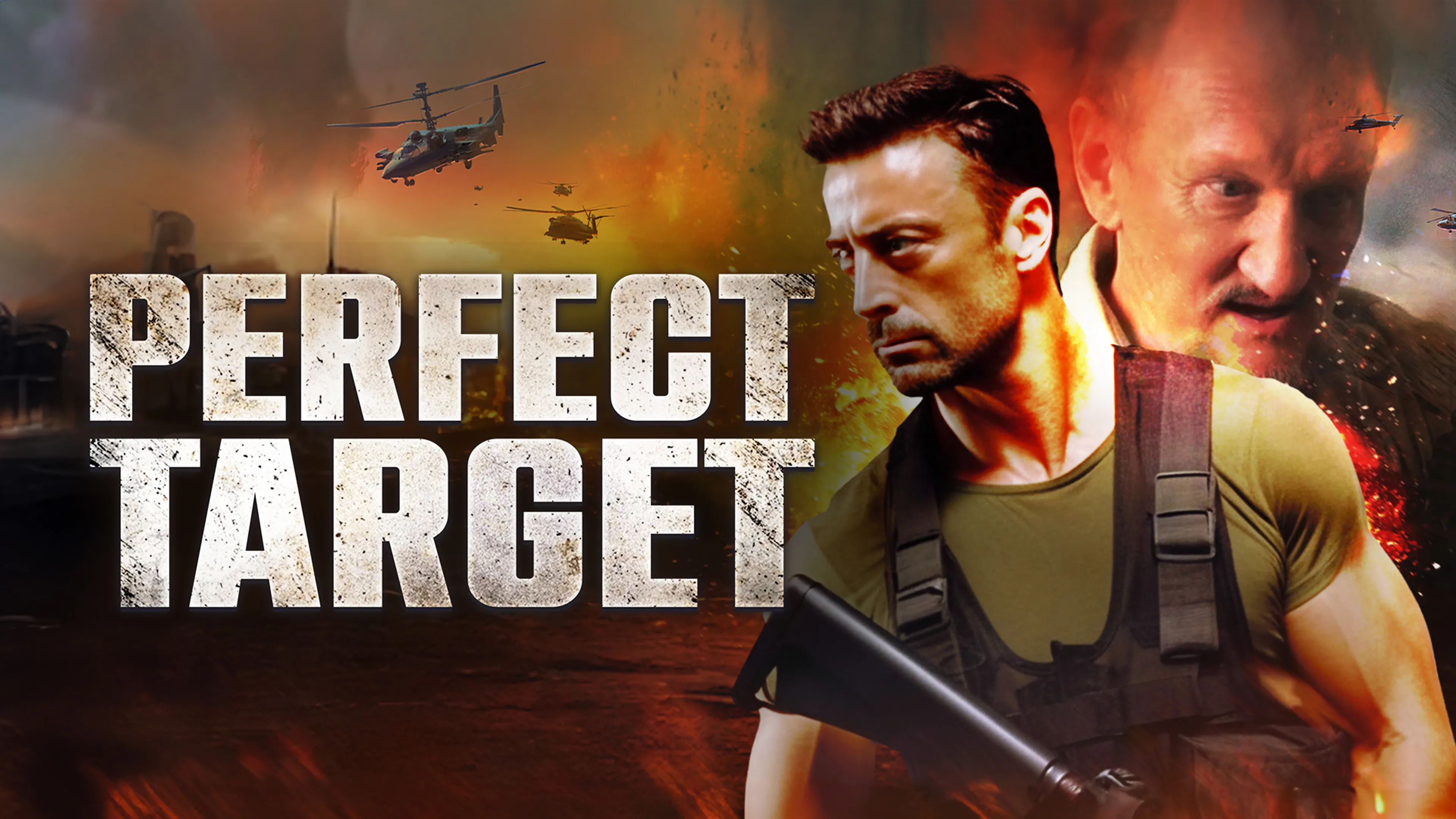 Perfect Target poster